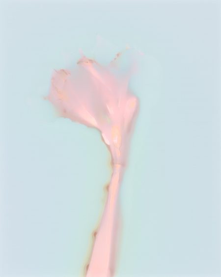 Amaryllis Solo (2023)