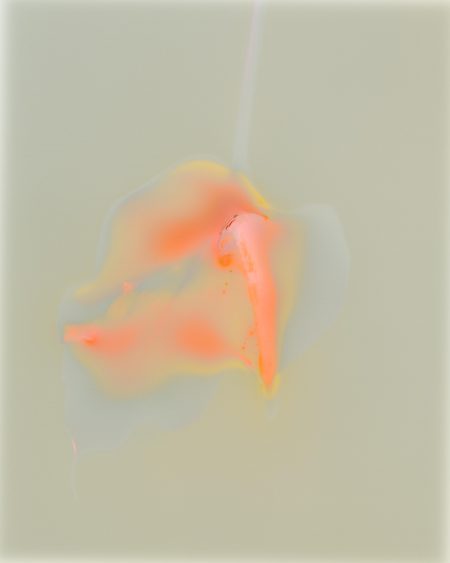 Anthurium Solo I (2023)